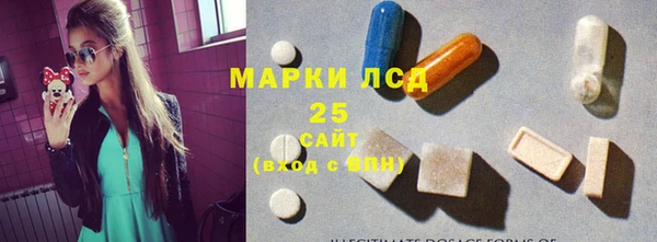 твердый Дмитровск