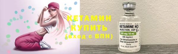 твердый Дмитровск