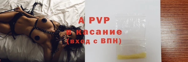 твердый Дмитровск
