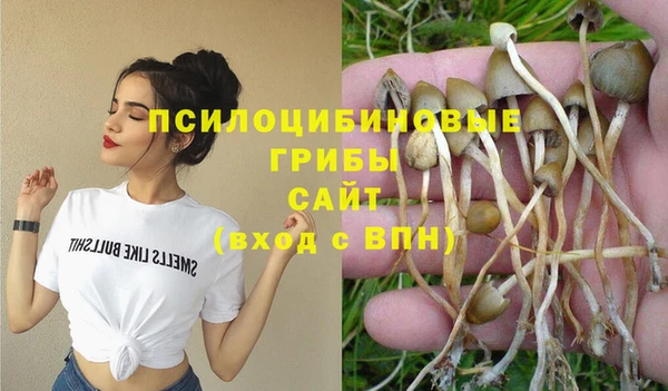 твердый Дмитровск