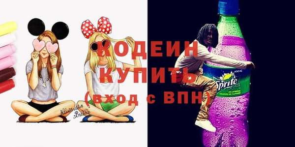 твердый Дмитровск