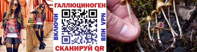 Псилоцибиновые грибы GOLDEN TEACHER  кракен сайт  сайты даркнета официальный сайт  Нерехта 